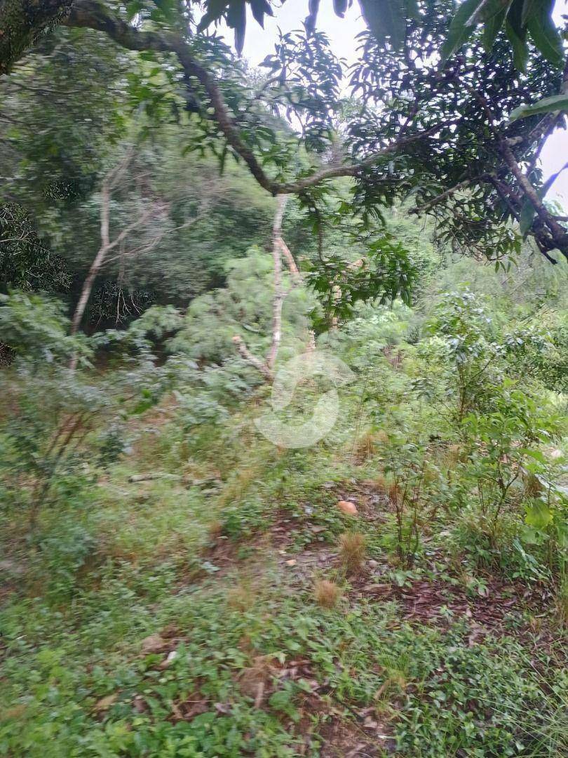  - Chácara/Sítio à venda, 28000 m² - Pendotiba - Niterói/RJ