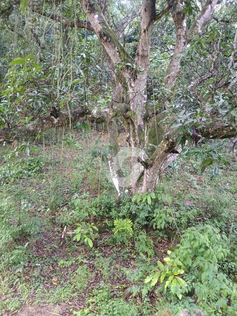 Fazenda à venda, 421m² - Pendotiba,Niterói